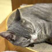 ヒメ日記 2025/09/15 12:16 投稿 おとは 大阪回春性感エステティーク谷九店