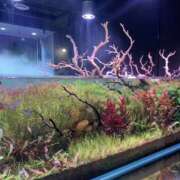 ヒメ日記 2025/09/21 09:16 投稿 おとは 大阪回春性感エステティーク谷九店