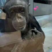 ヒメ日記 2025/11/12 11:22 投稿 おとは 大阪回春性感エステティーク谷九店