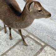 おとは おとは（エステティーク谷九店） 大阪回春性感エステティーク谷九店