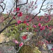 ヒメ日記 2026/02/06 16:42 投稿 おとは 大阪回春性感エステティーク谷九店