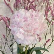 ヒメ日記 2025/06/23 15:58 投稿 くらら 大奥 梅田店