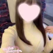 ヒメ日記 2024/12/21 06:35 投稿 ことり ワンダフル