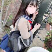 ヒメ日記 2024/12/27 12:34 投稿 ことり ワンダフル