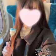 ヒメ日記 2025/01/01 19:48 投稿 ことり ワンダフル