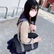 ヒメ日記 2025/01/09 13:28 投稿 ことり ワンダフル