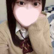 ヒメ日記 2025/01/22 09:28 投稿 ことり ワンダフル