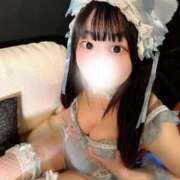 ヒメ日記 2025/02/13 09:32 投稿 ことり ワンダフル