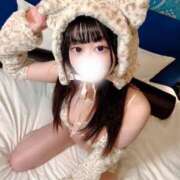 ヒメ日記 2025/02/17 10:28 投稿 ことり ワンダフル