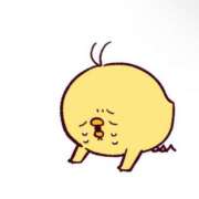 ヒメ日記 2025/02/20 19:32 投稿 ことり ワンダフル