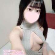 ヒメ日記 2025/02/23 10:31 投稿 ことり ワンダフル