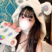 ヒメ日記 2025/03/08 09:23 投稿 ことり ワンダフル