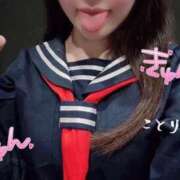 ヒメ日記 2025/03/14 13:28 投稿 ことり ワンダフル