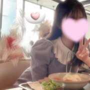 ヒメ日記 2025/03/17 09:32 投稿 ことり ワンダフル