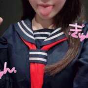 ヒメ日記 2025/03/19 16:28 投稿 ことり ワンダフル