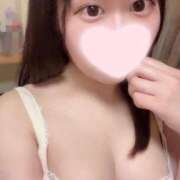 ヒメ日記 2025/03/20 10:48 投稿 ことり ワンダフル