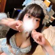 ヒメ日記 2025/03/21 11:28 投稿 ことり ワンダフル