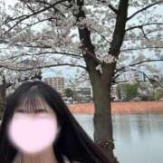 ヒメ日記 2025/04/03 09:28 投稿 ことり ワンダフル