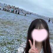 ヒメ日記 2025/04/05 06:28 投稿 ことり ワンダフル