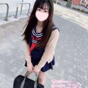 ヒメ日記 2025/04/21 12:28 投稿 ことり ワンダフル