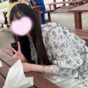 ヒメ日記 2025/04/27 06:33 投稿 ことり ワンダフル