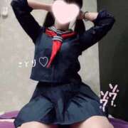 ヒメ日記 2025/04/29 12:28 投稿 ことり ワンダフル