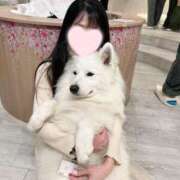 ヒメ日記 2025/05/03 10:32 投稿 ことり ワンダフル