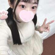 ヒメ日記 2025/05/07 11:28 投稿 ことり ワンダフル