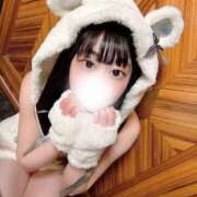 ヒメ日記 2025/05/09 12:28 投稿 ことり ワンダフル