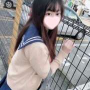 ヒメ日記 2025/05/10 10:33 投稿 ことり ワンダフル