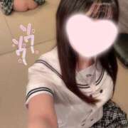 ヒメ日記 2025/05/29 09:28 投稿 ことり ワンダフル