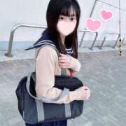 ヒメ日記 2025/05/30 13:28 投稿 ことり ワンダフル