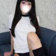 ヒメ日記 2025/06/25 09:28 投稿 ことり ワンダフル