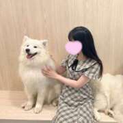 ヒメ日記 2025/07/11 10:48 投稿 ことり ワンダフル