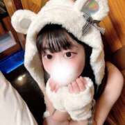 ヒメ日記 2025/07/18 14:33 投稿 ことり ワンダフル