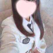 ヒメ日記 2025/07/26 10:28 投稿 ことり ワンダフル