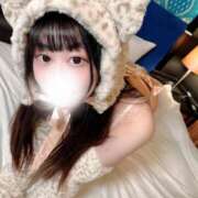 ヒメ日記 2025/07/29 12:33 投稿 ことり ワンダフル