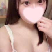 ヒメ日記 2025/08/05 10:28 投稿 ことり ワンダフル