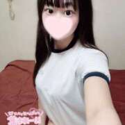 ヒメ日記 2025/08/20 09:33 投稿 ことり ワンダフル