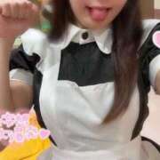 ヒメ日記 2025/08/27 15:28 投稿 ことり ワンダフル