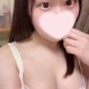 ヒメ日記 2025/09/11 15:28 投稿 ことり ワンダフル