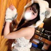 ヒメ日記 2025/09/13 14:28 投稿 ことり ワンダフル