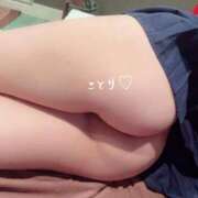 ヒメ日記 2025/09/13 15:33 投稿 ことり ワンダフル