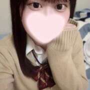 ヒメ日記 2025/09/17 13:33 投稿 ことり ワンダフル