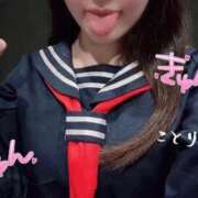 ヒメ日記 2025/10/09 10:28 投稿 ことり ワンダフル