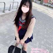 ヒメ日記 2025/10/23 10:28 投稿 ことり ワンダフル