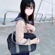 ヒメ日記 2025/11/19 17:33 投稿 ことり ワンダフル