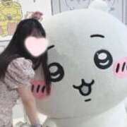 ヒメ日記 2026/01/05 19:28 投稿 ことり ワンダフル