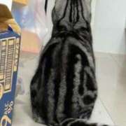 ヒメ日記 2025/03/20 21:15 投稿 みさ♡ロリ系Fカップ巨乳美少女♡ 即生専門店ゴッドパイ