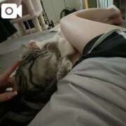 ヒメ日記 2025/03/31 10:54 投稿 みさ♡ロリ系Fカップ巨乳美少女♡ 即生専門店ゴッドパイ